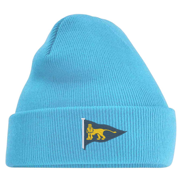 WLYC Beanie  Thumbnail